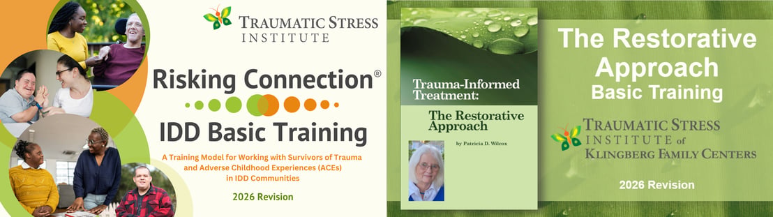 Wraparound Copy of Trauma Framework for Mug (3840 x 1080 px)